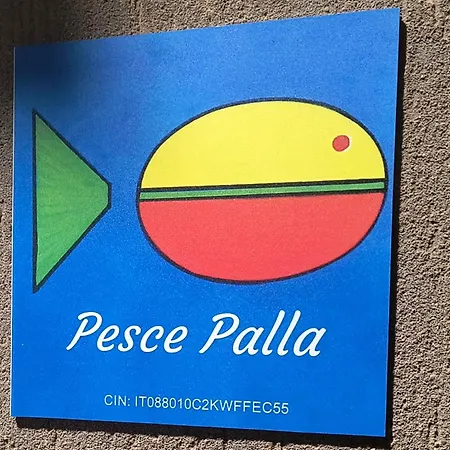 Pesce Palla *